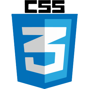 css3